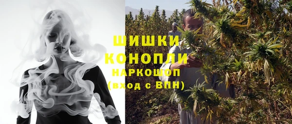 молекула духа Киреевск