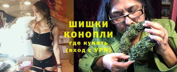 молекула духа Киреевск