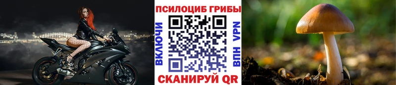 Галлюциногенные грибы ЛСД  Купить  Медногорск 